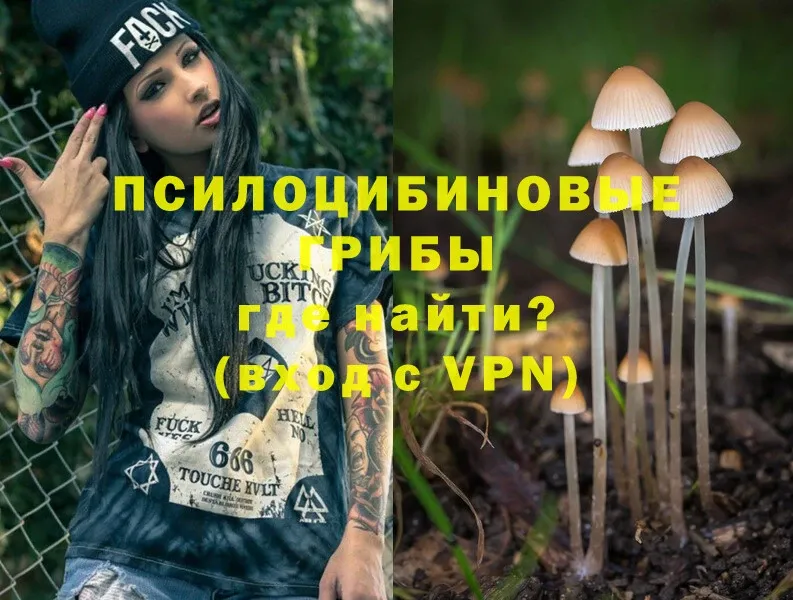 Галлюциногенные грибы Cubensis Алейск